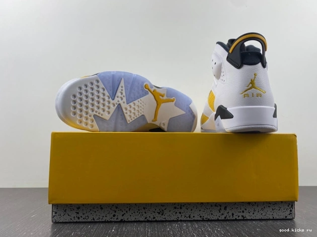 Jordan Air Yellow 6 CT8529-170 Ochre 0705